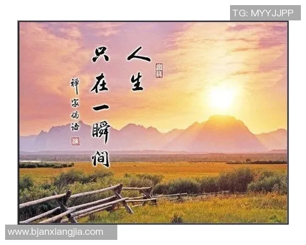 足球明星心酸语录集锦揭示他们背后的艰辛与坚持人生哲理